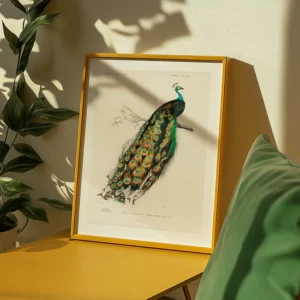 Alternative view of Édouard Traviès, Tavuskuşu