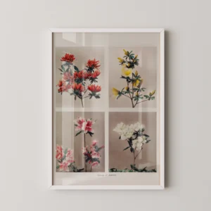 Alternative view of Ogawa Kazumasa, Botanik