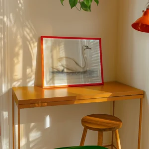 Alternative view of Yalnız Beyaz Kuğu